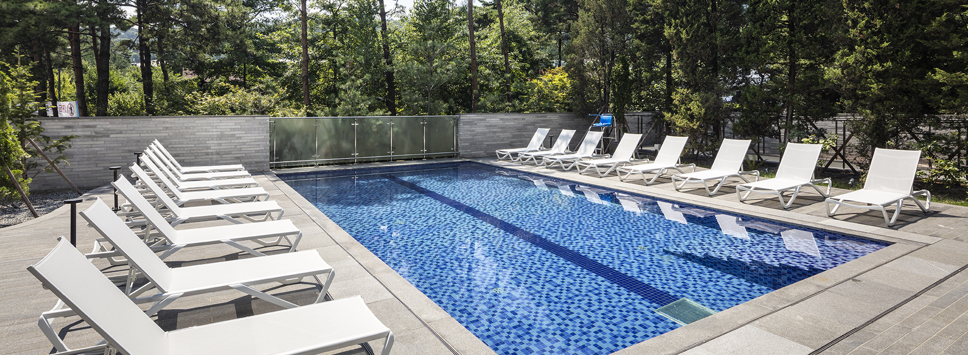Swimming Pool_img